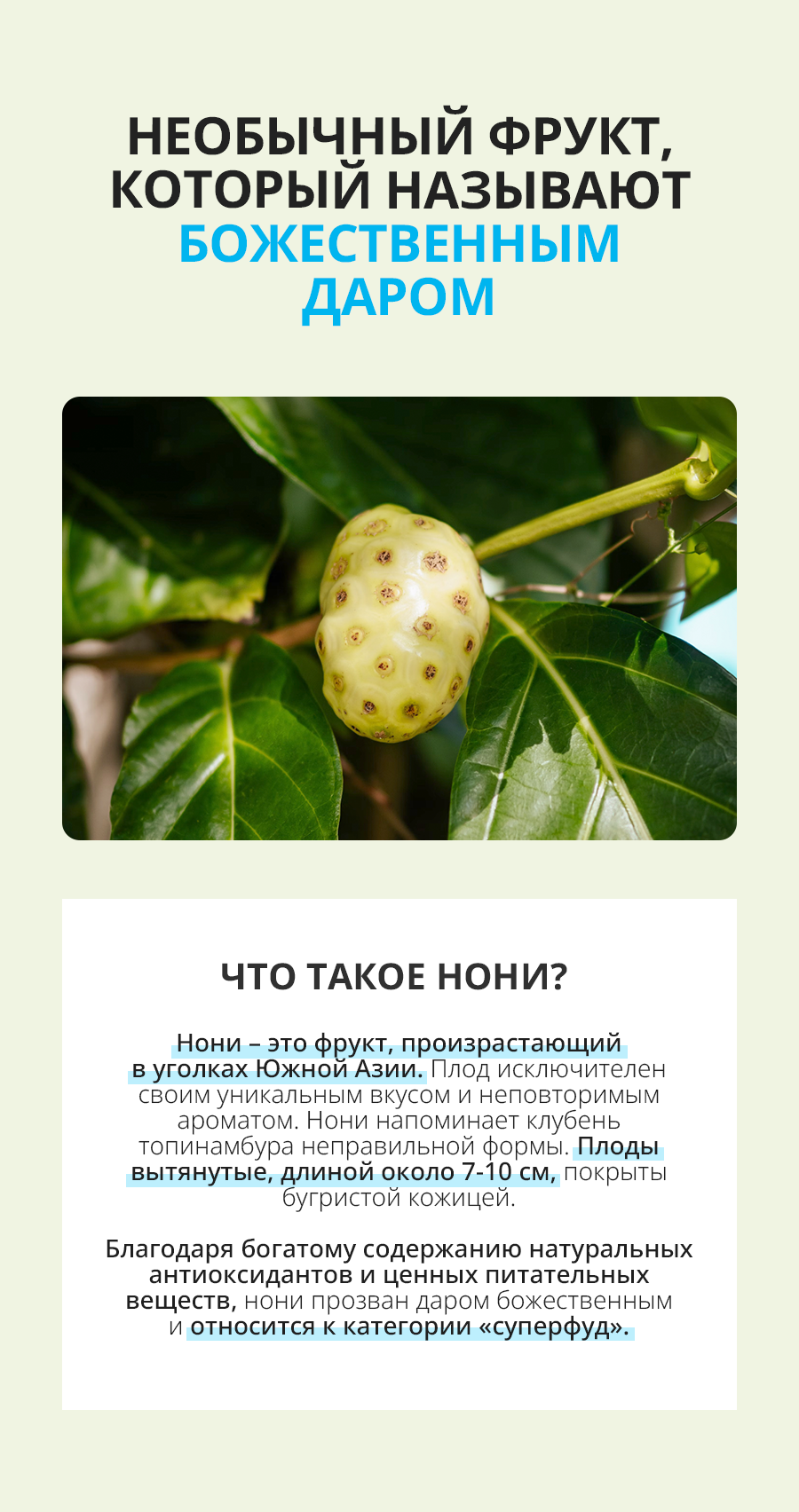 Атоми Ферментированный концентрат Нони - описание