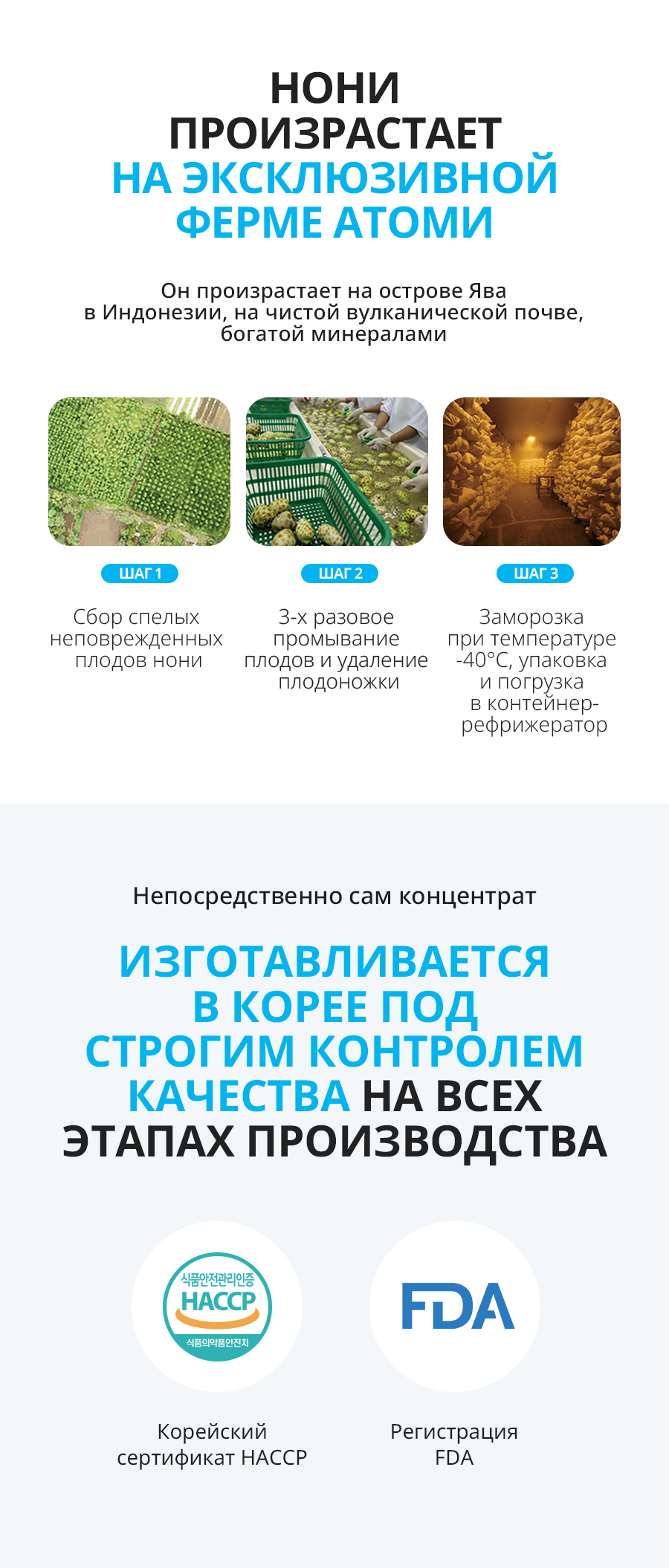 Атоми Ферментированный концентрат Нони - описание