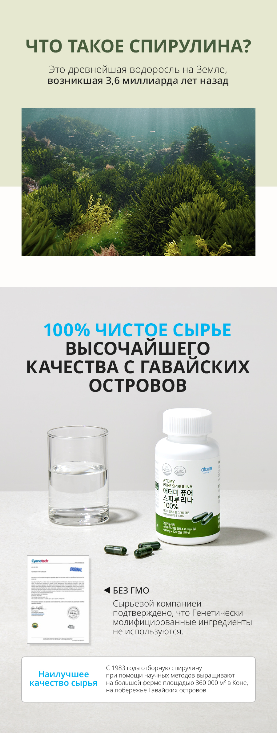 Атоми Спирулина - описание