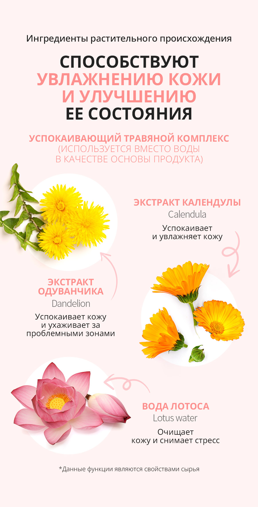 Атоми Акне Эксперт Концентрат - описание
