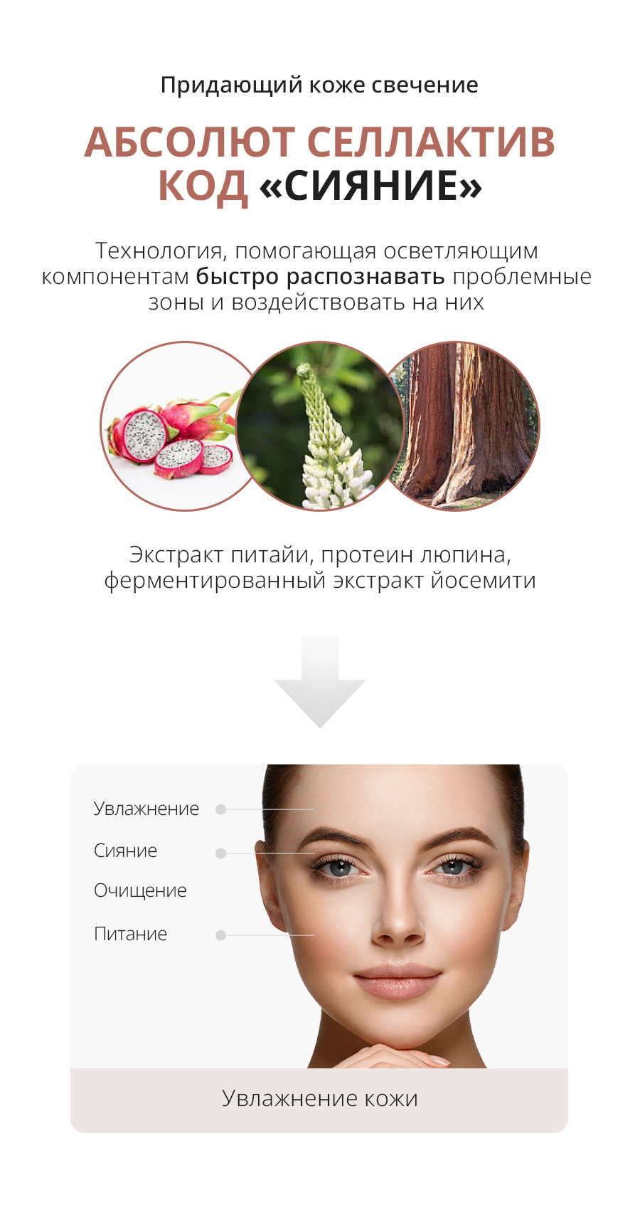 Атоми Абсолют маска Французская роза - описание