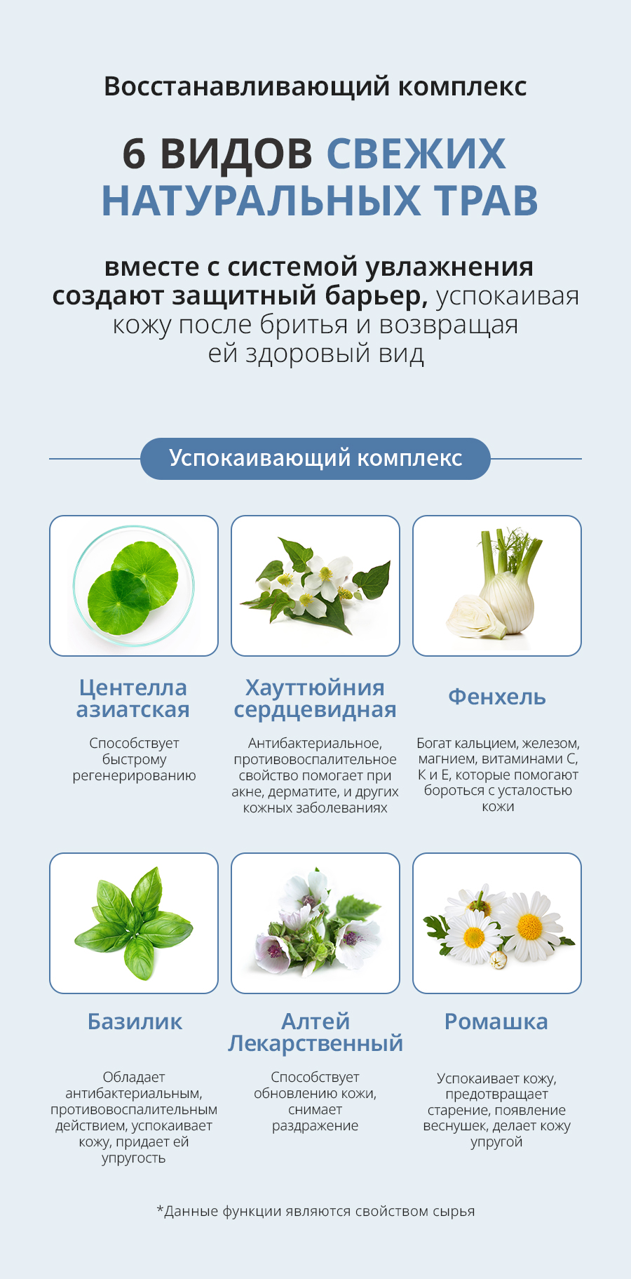 Атоми Набор для мужчин - описание