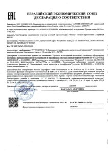 Атоми Хэлси Глоу база под макияж — купить в Atomy